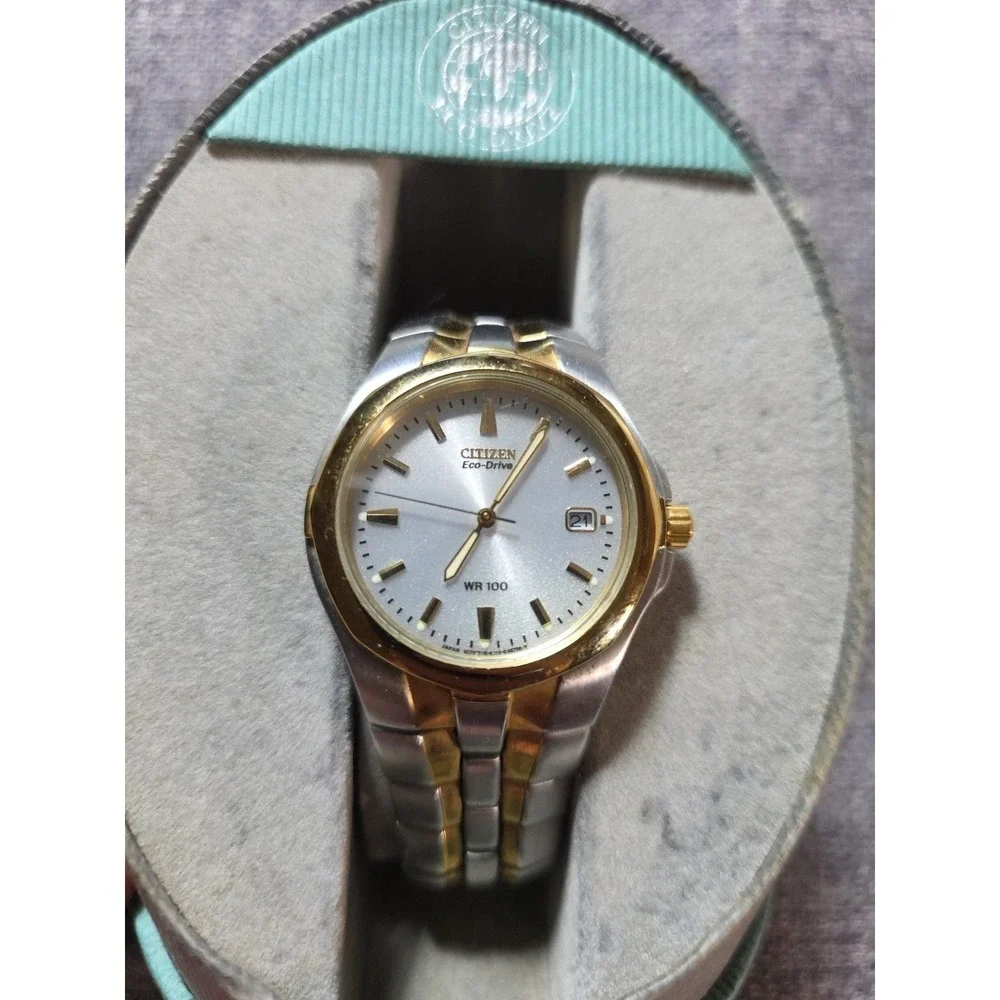 Men's Citizen Eco-Drive WR100 Watch Two Tone Stainless Steel E110-K15699